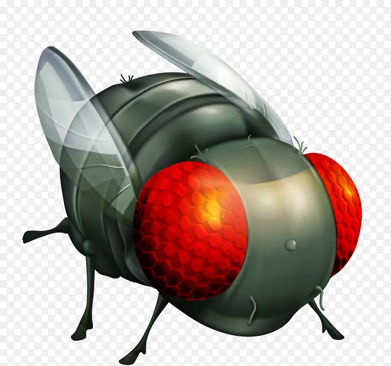 ���۲�Ӭ-������