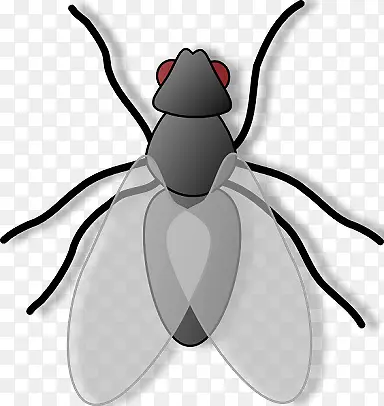 ��ͨ��Ӭ-������