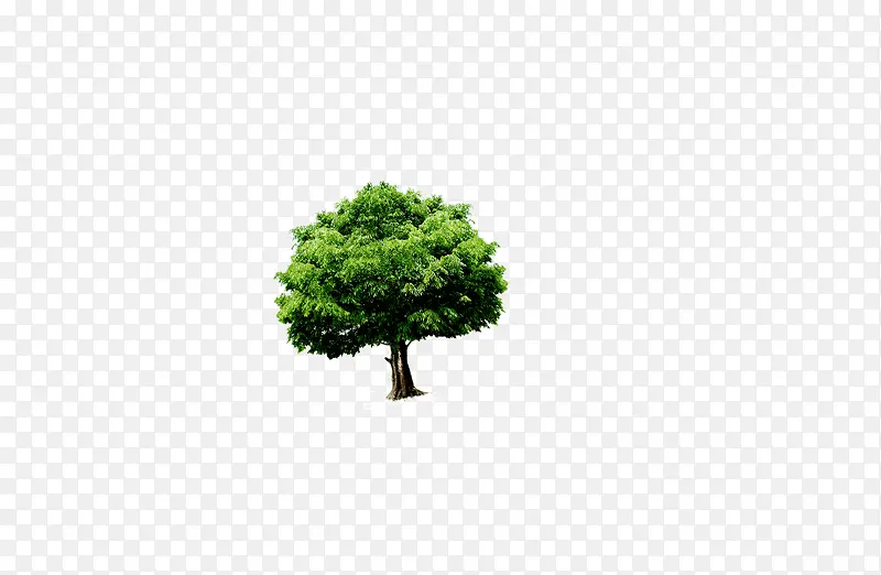 ɡ�����ڵ�С��-������