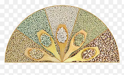 ���ֶ���-������