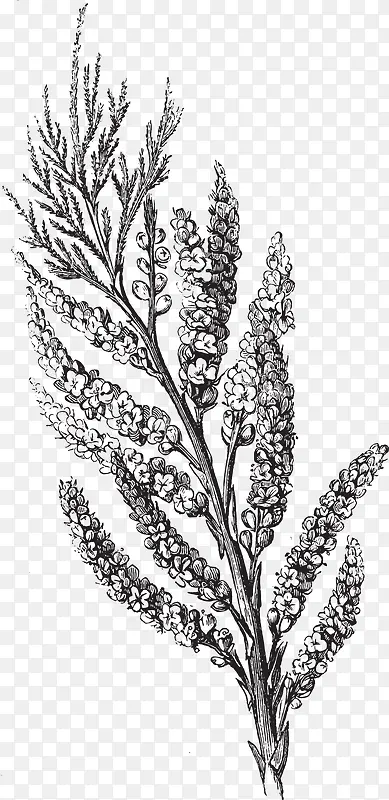 ʸ��С��-������