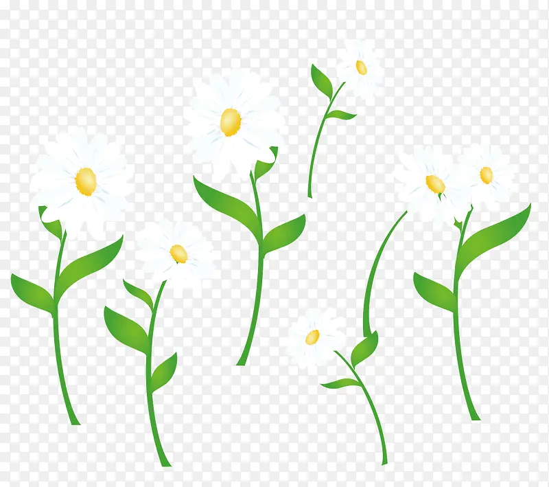 ��ɫ��ֲ��-������