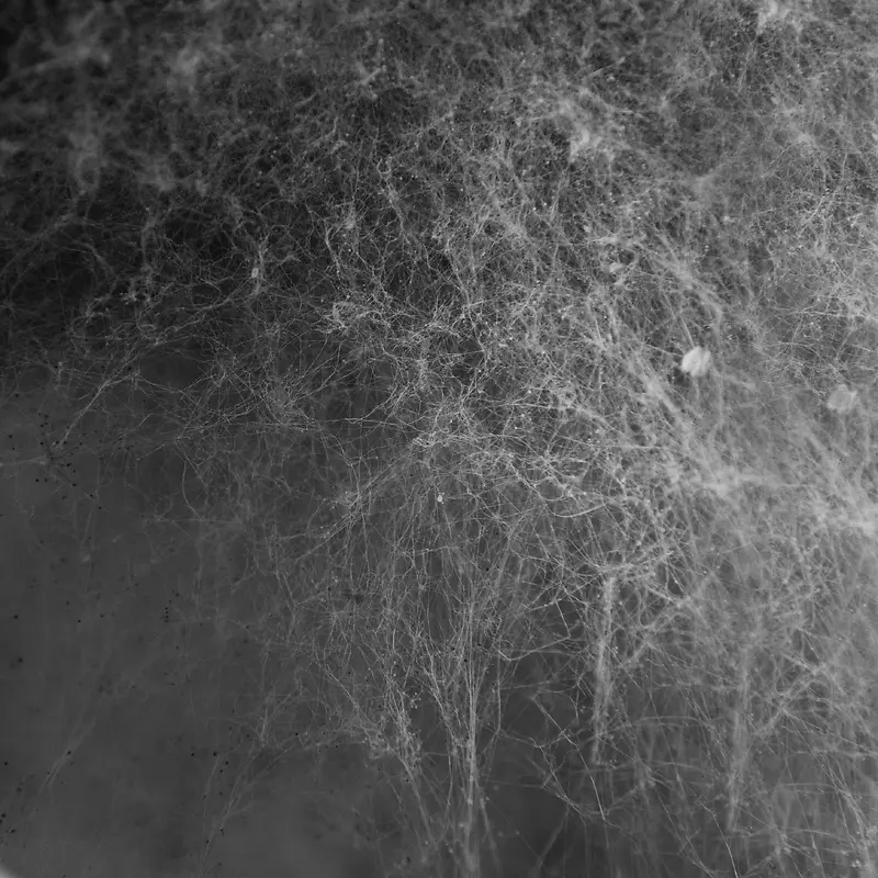 ��ɫ��������-������