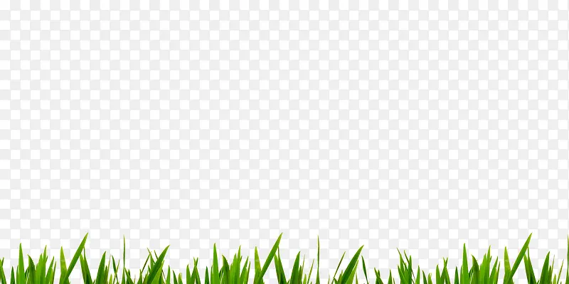 С�ݱ߿�-������