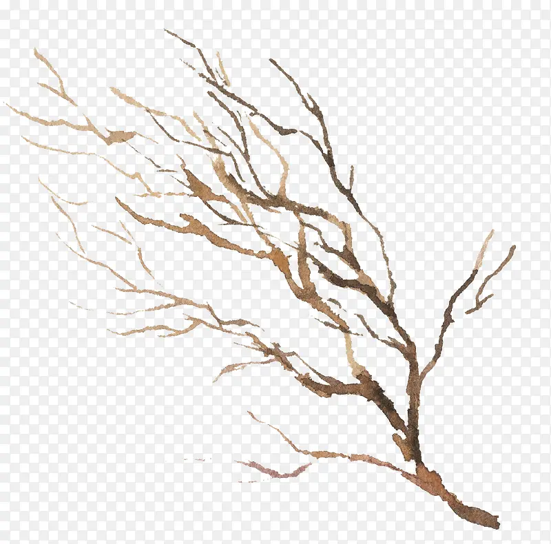 �ɿ���֦-������