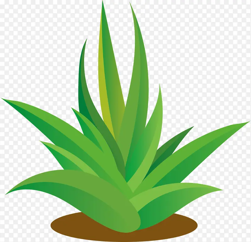 ��������ֲ��С��-������