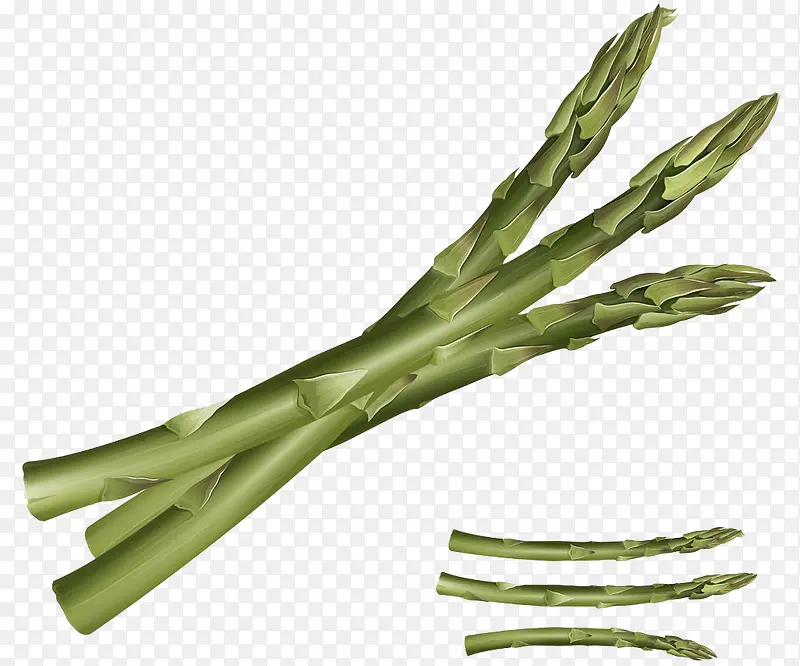 ��ͨʸ�������߲�«������-������