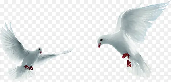 ������Ӱ��ֻ��Ÿ-������