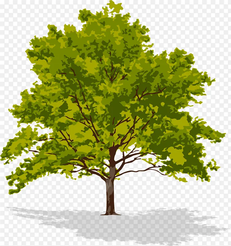 �ſ�������-������