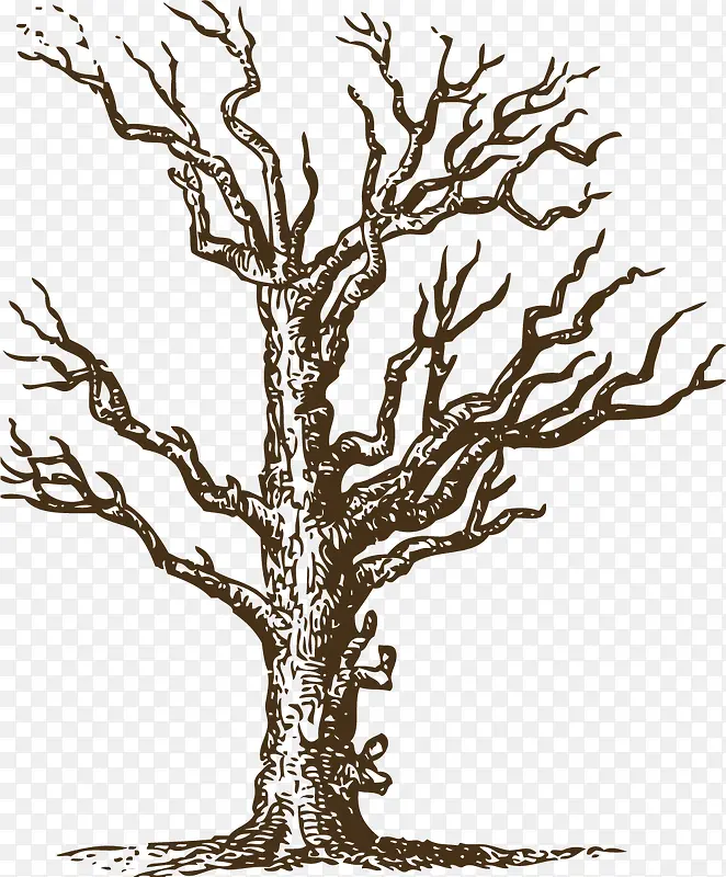 ή�ҵ�����-������