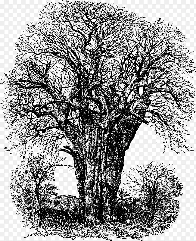 ��׳������-������