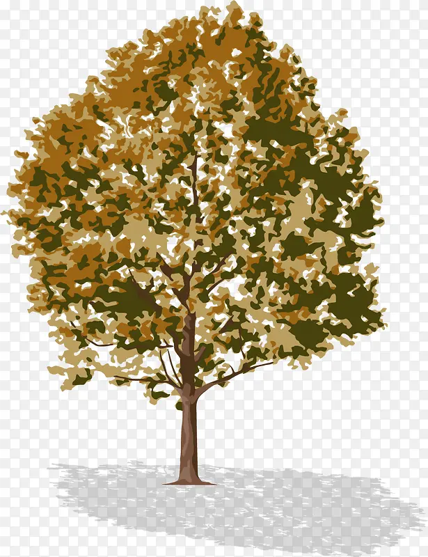 ��ɫ������-������