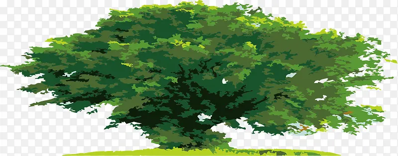 ��ͨ�����ֻ�����-������