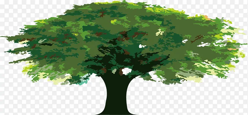 ʸ��������ɫ����-������