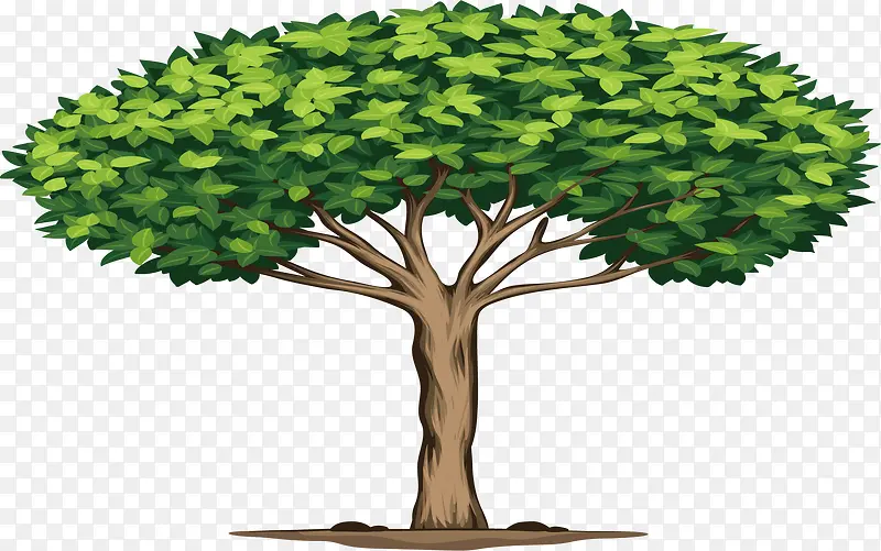 ʸ��������ͨ����-������