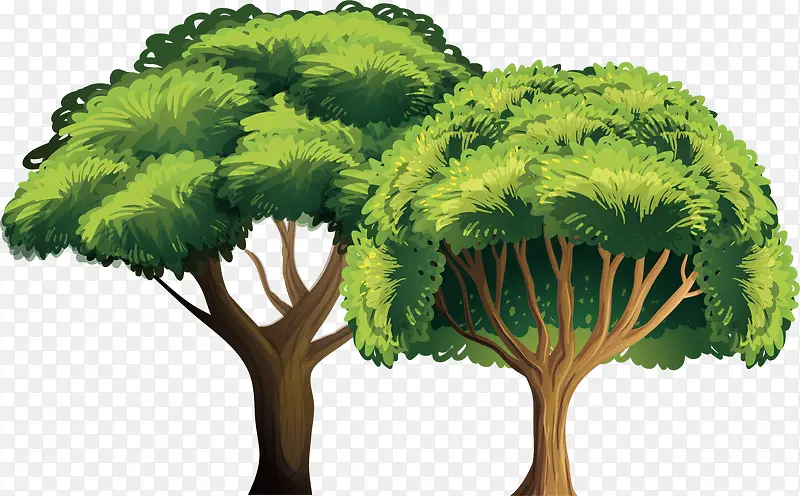 ��������Ư������-������