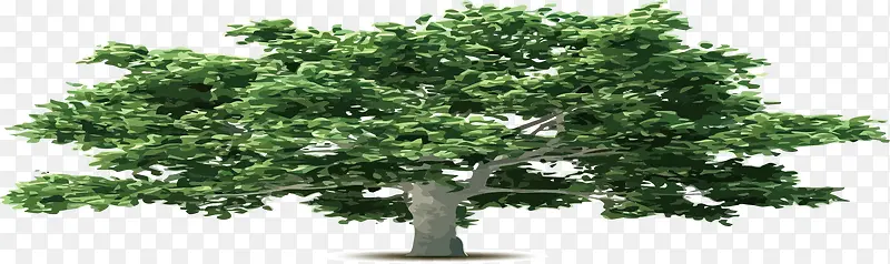 ��ͨ�����ֻ�����-������