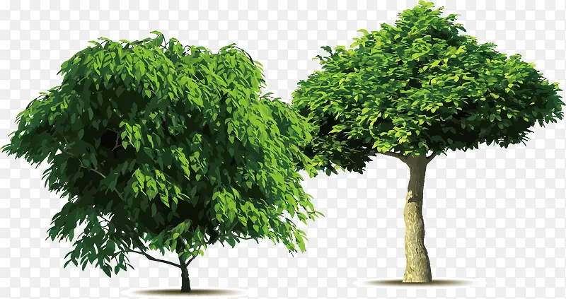 ��������ʸ������-������