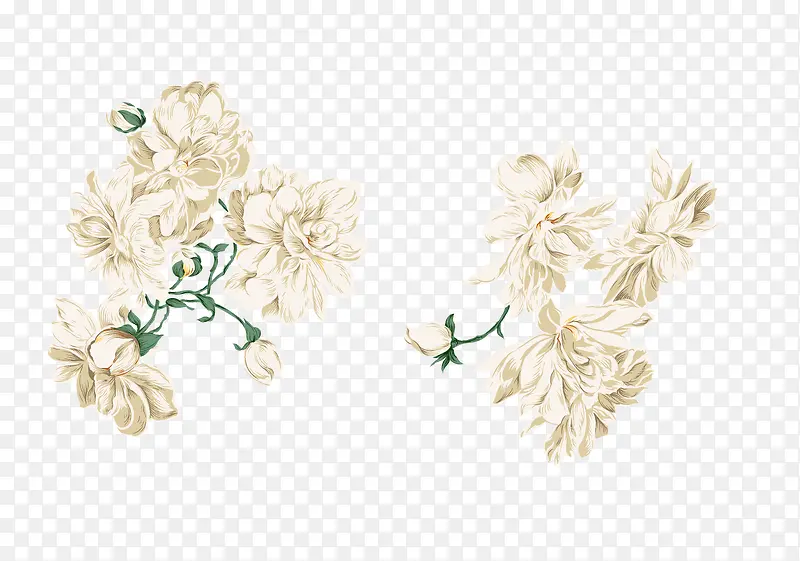 ��ɫ��-������