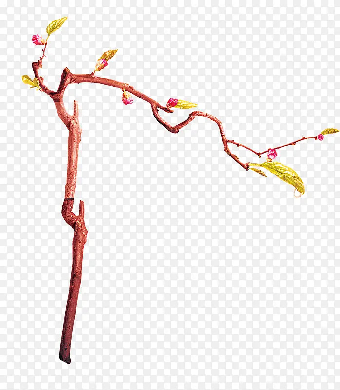 Ψ���й��縴����֦-������