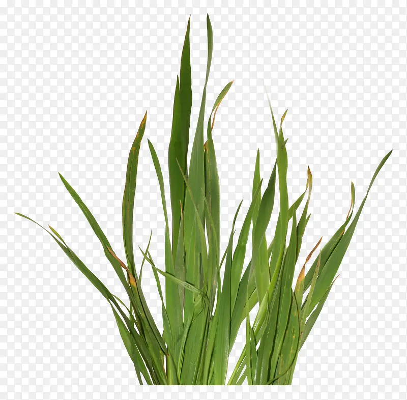 ��԰��Ԫ���̲�-������