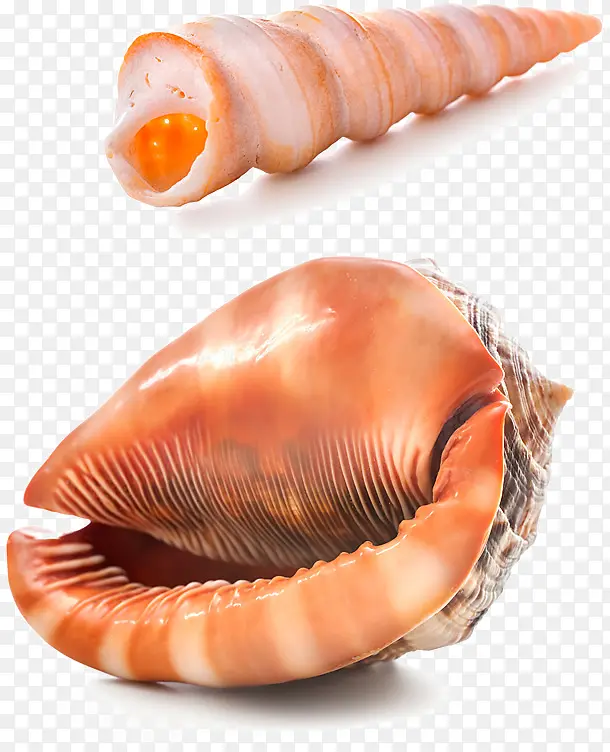 �����ز�-������