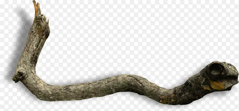 �����ز�-������