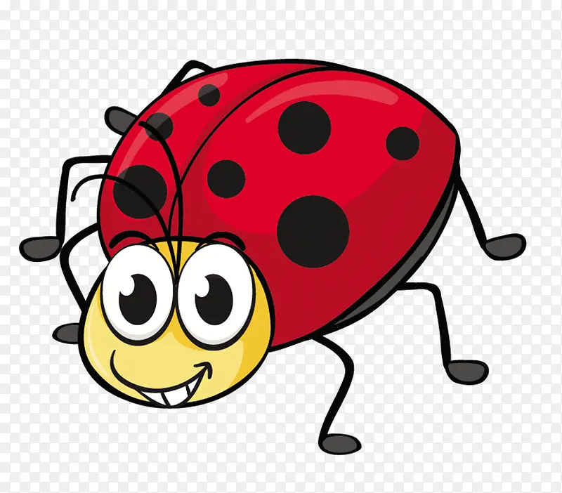 ư��-������