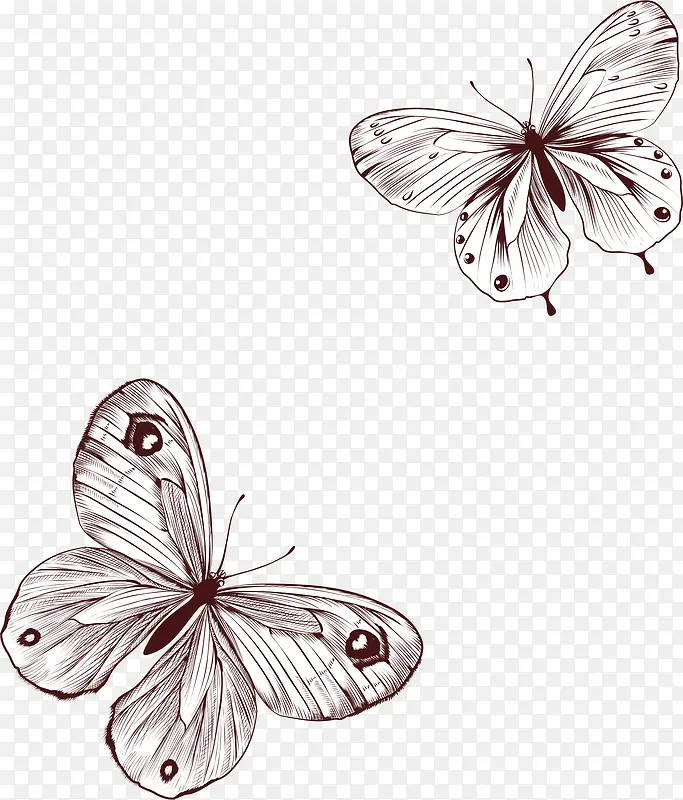 �ֻ��������-������