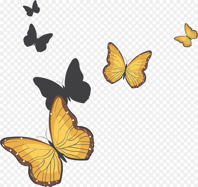 ����Ư��-������