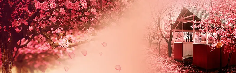 Ψ���λ�������ɫ��������-������