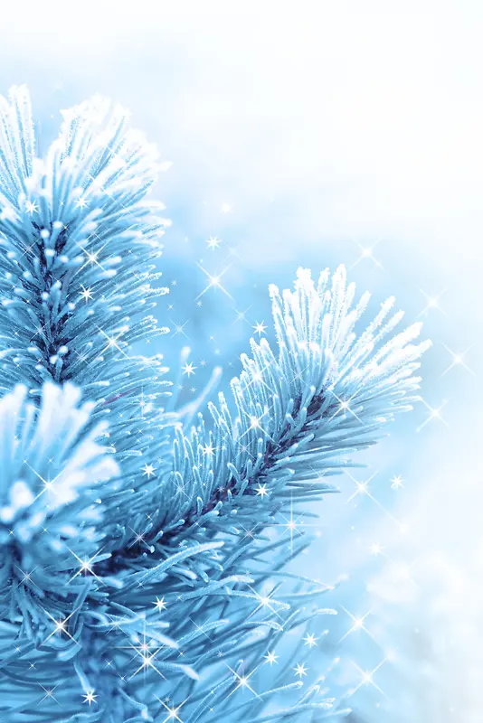 �λ���ľ����-������