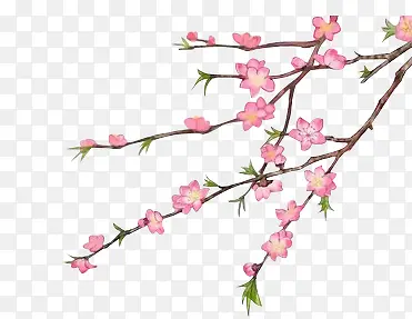 ˮ�ʺ�ɫ���䵭��ɫ��֦-������