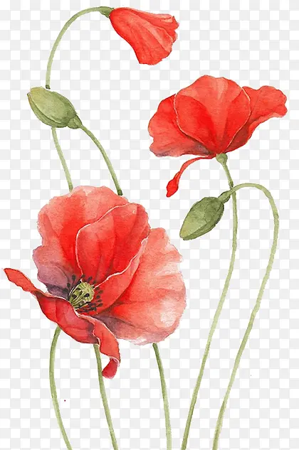 �ž黨ˮī�����-������