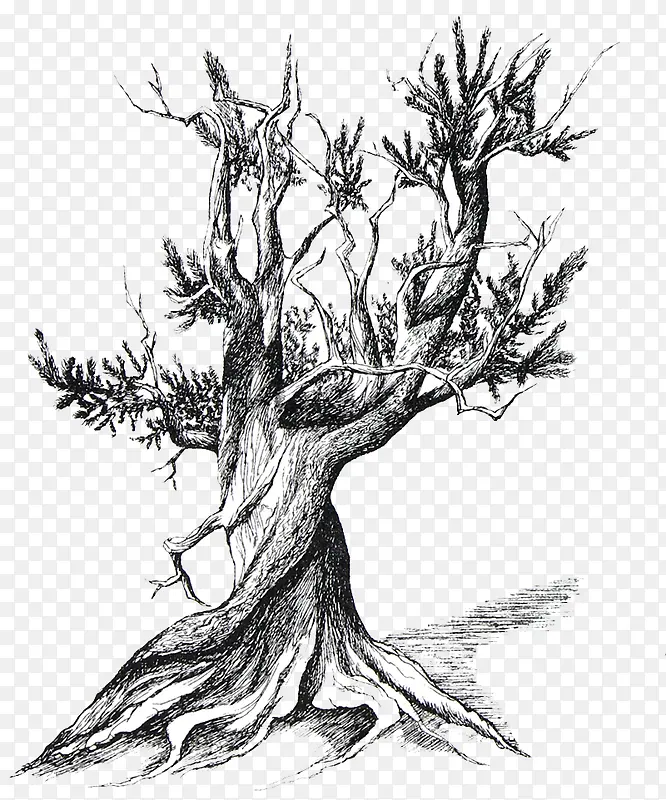 �ڰ׿����廭-������