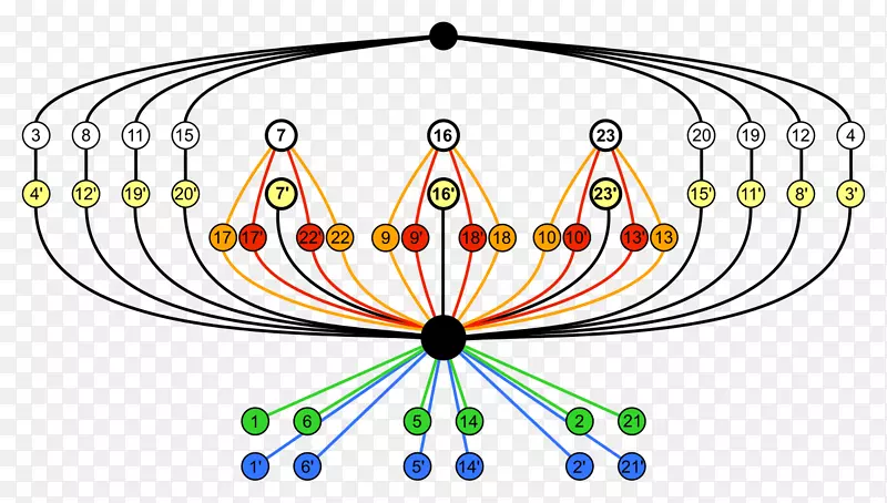 ������Գư�������ת�Գ�Ⱥѭ��-������