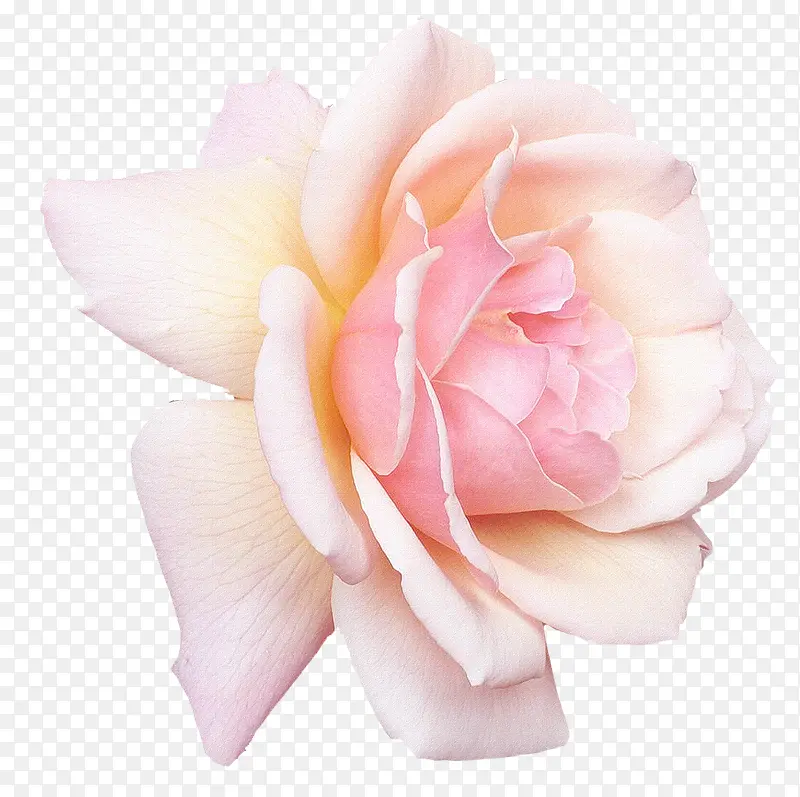 ŭ�ŵİ�ɫ�ʻ�-������