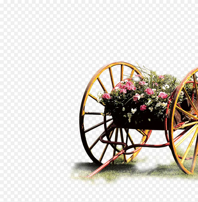 �ʻ�������-������