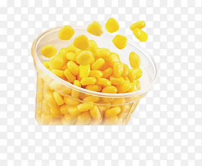 ����ʳ��-������