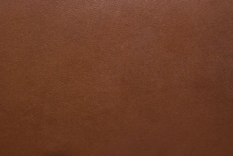 ��ɫƤ�ﱳ��-������