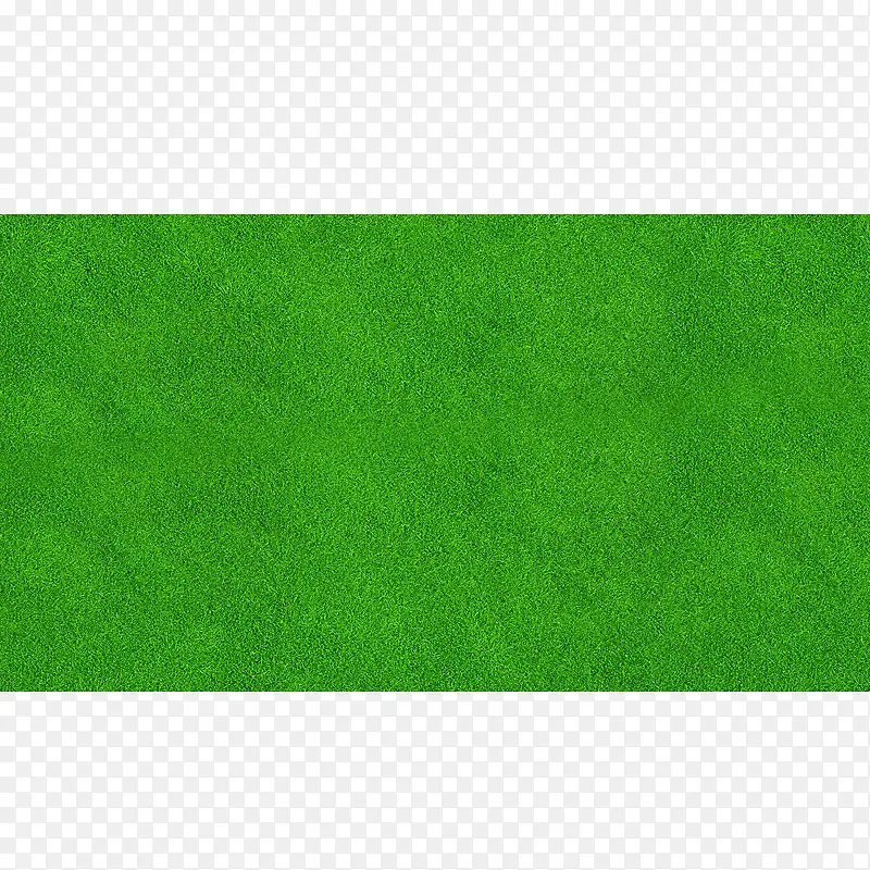 �ݿ�-������