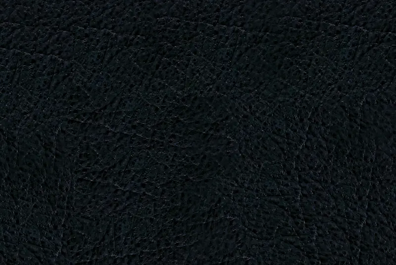 Ƥ����������-������