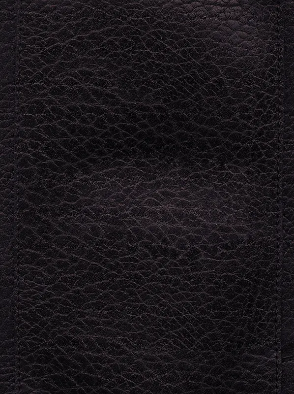 Ƥ�ﱳ������-������