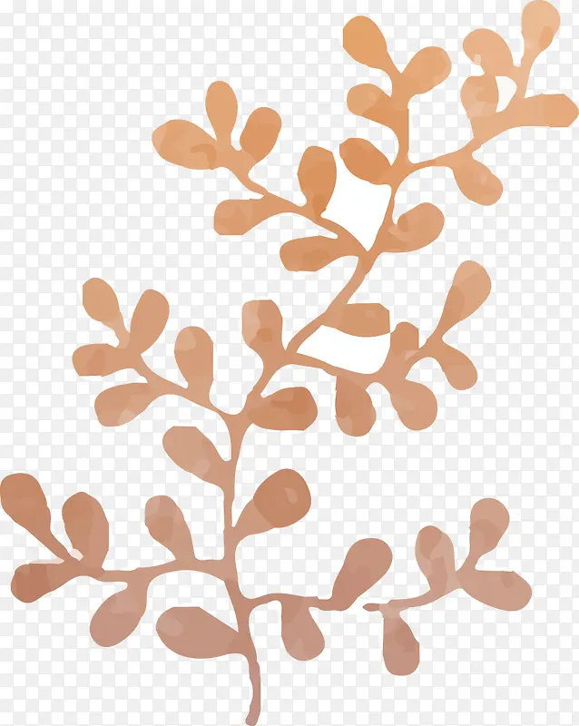 ˮ��Ҷ��-������