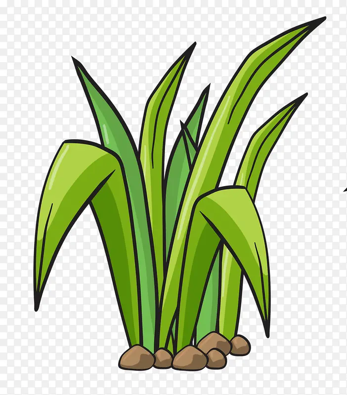 ��ɫ��С��-������