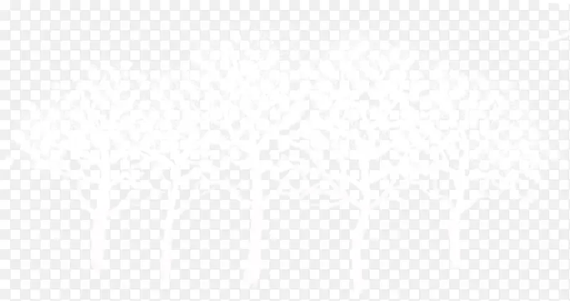 ����ѩ��-������