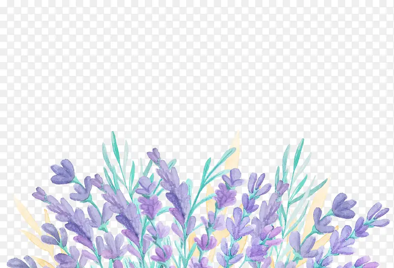 ˮ��ֲ��-������