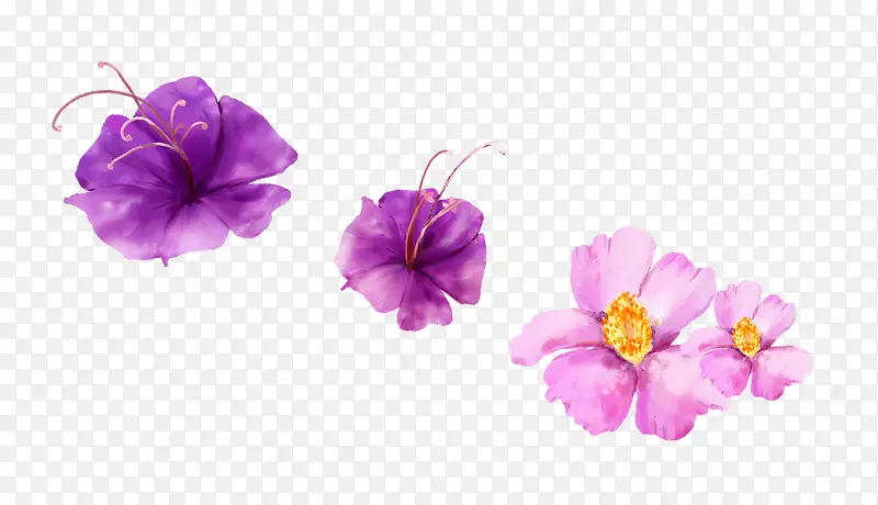 ˮ����ɫ����-������