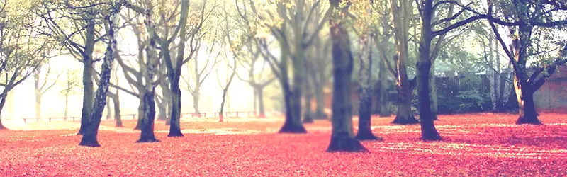 �＾����-������