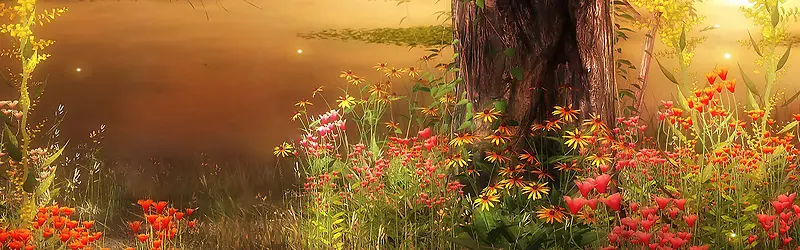 �＾��ɫ����-������